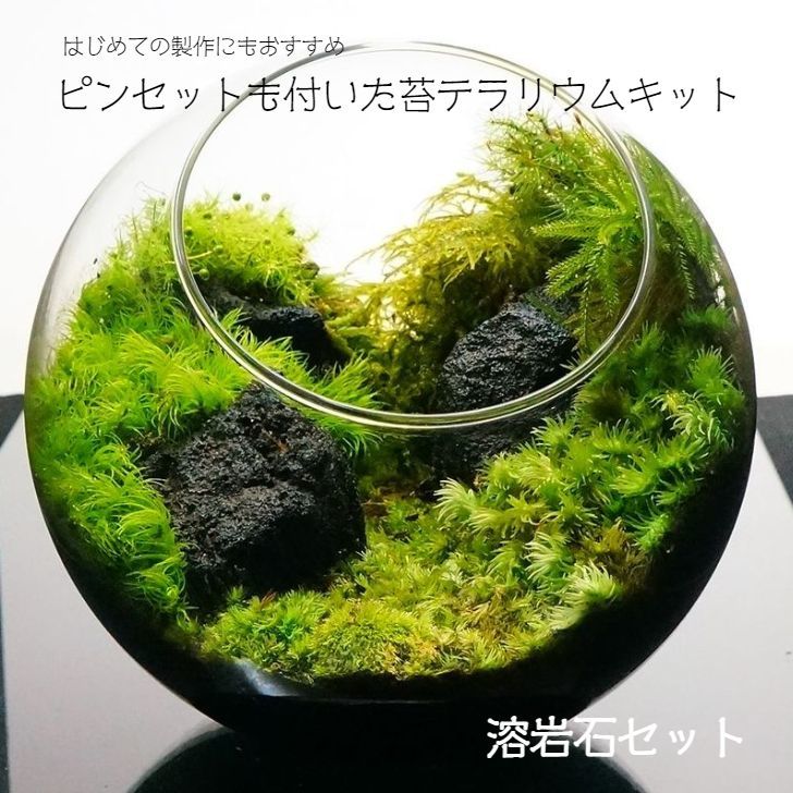溶岩石キット