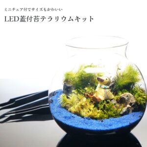 青砂キット 10cm LED蓋付き