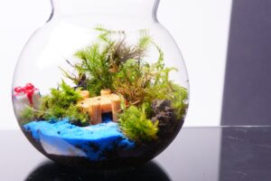 青い砂の水辺と木の橋に、小さな贈り物の箱を置いた丸いガラスの苔テラリウム