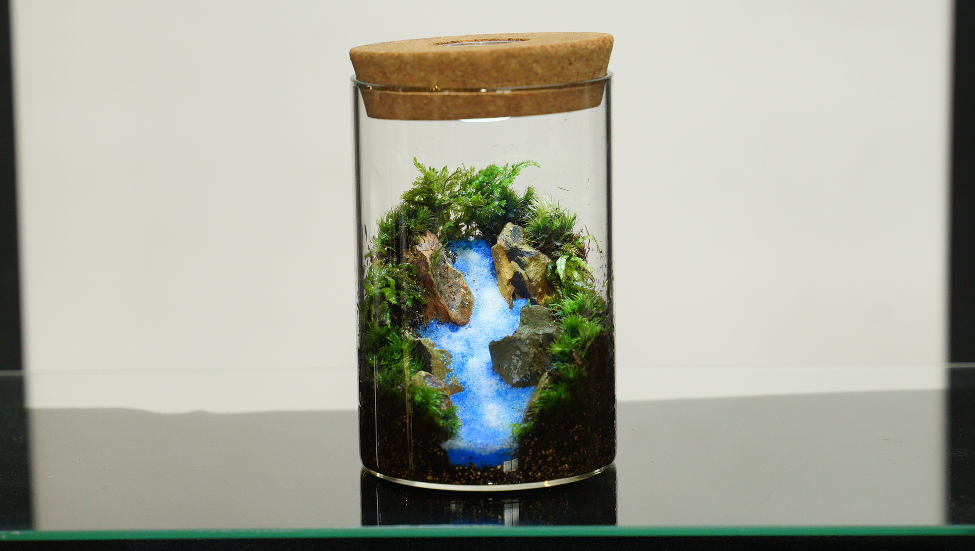 シリンダーボトル10cmの苔テラリウム作例
