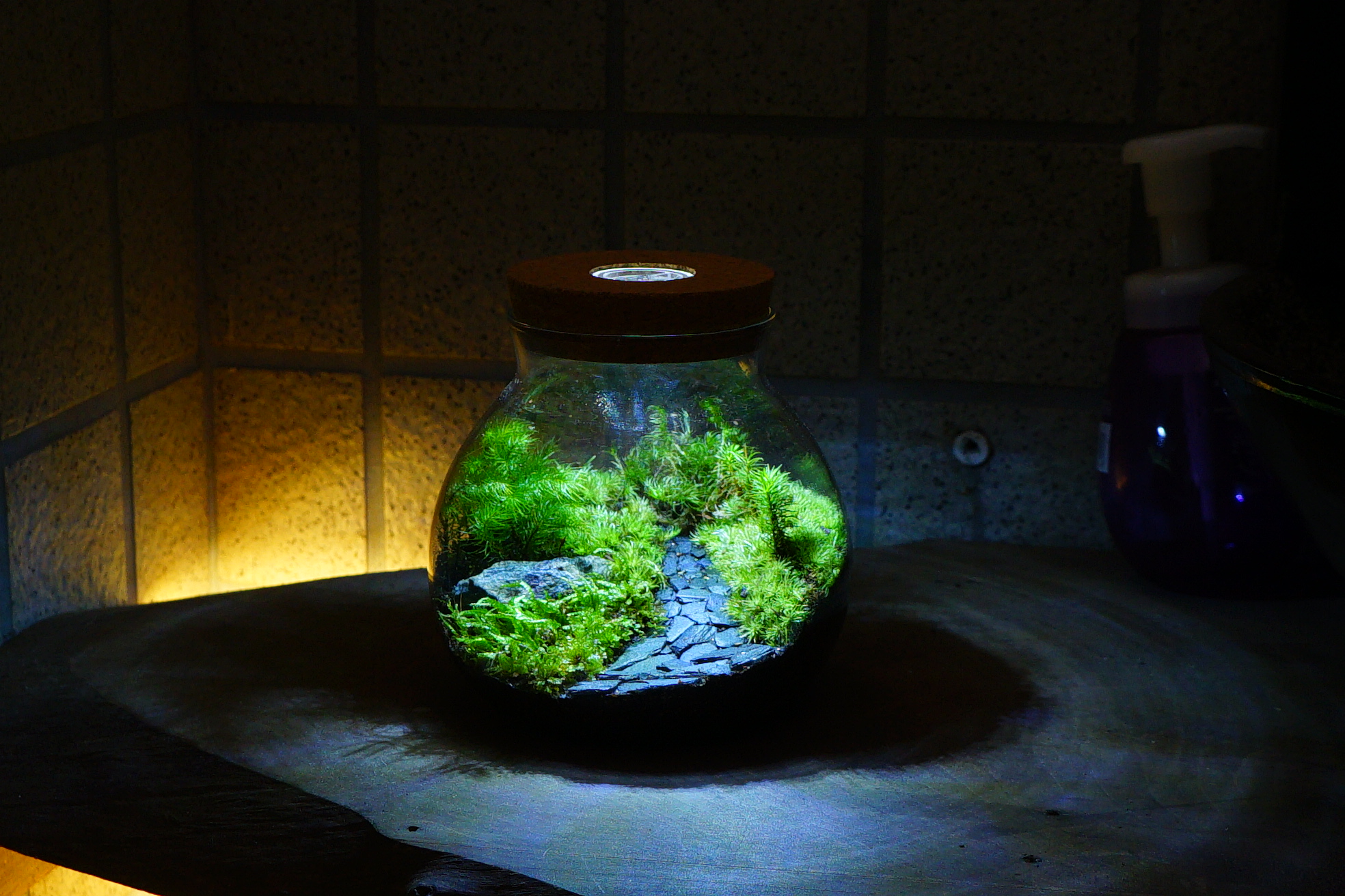 苔と石の小道を入れたLEDボトルの実写作品