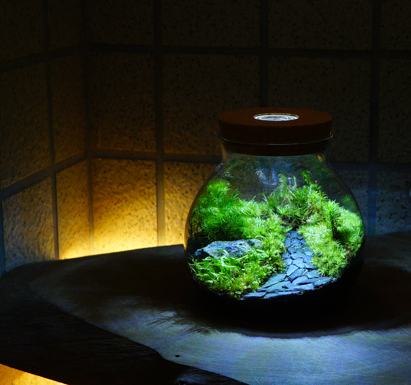 苔と石を組み合わせたガラスボトル作品